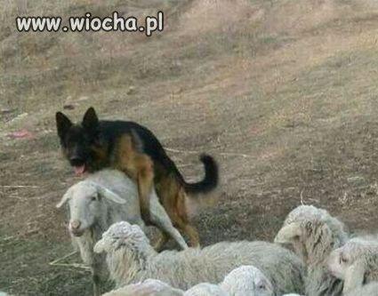 Przekroczenie oficjalnego upoważnienia.