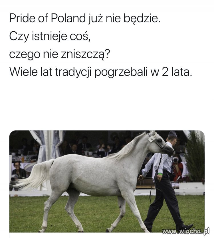 Poszły konie po betonie 