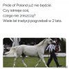 Poszły konie po betonie 
