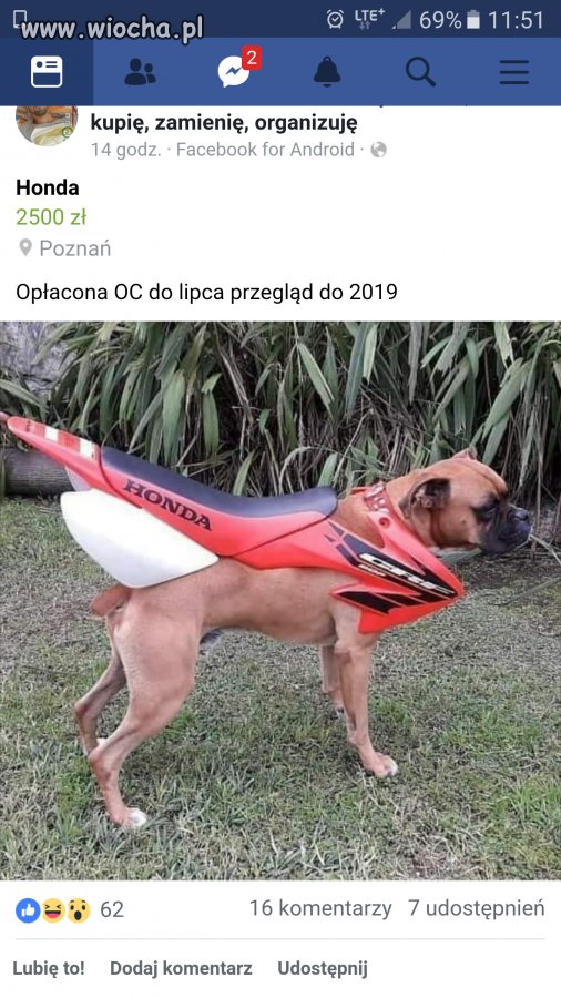 Z cyklu 