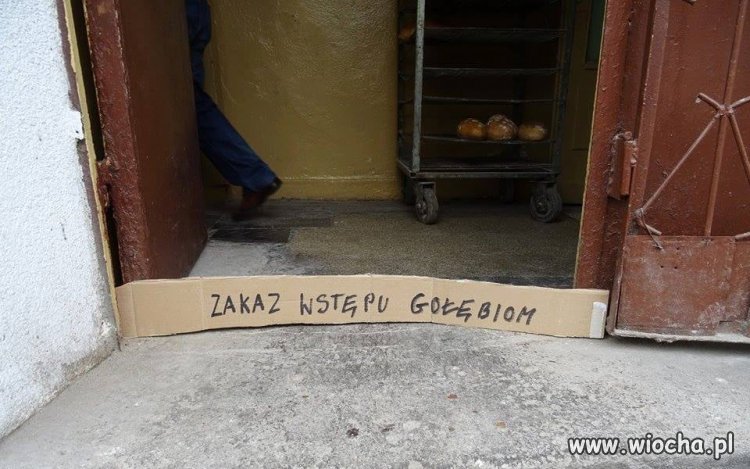 Tymczasem w łódzkiej...
