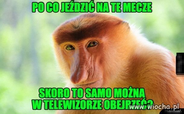 Z cyklu... 