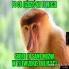 Z cyklu... 