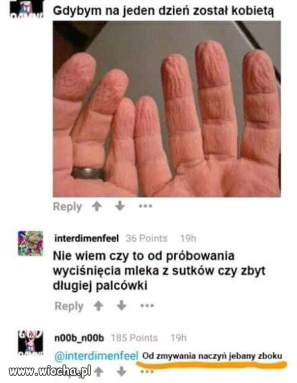 Zamiana