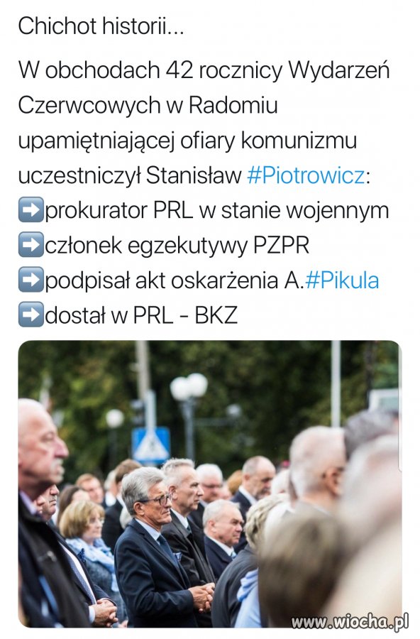 Z cyklu bezczelność