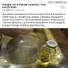 Wcale się nie zdziwię 