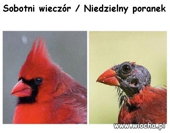 Sobotni wieczór / Niedzielny poranek