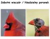 Sobotni wieczór / Niedzielny poranek