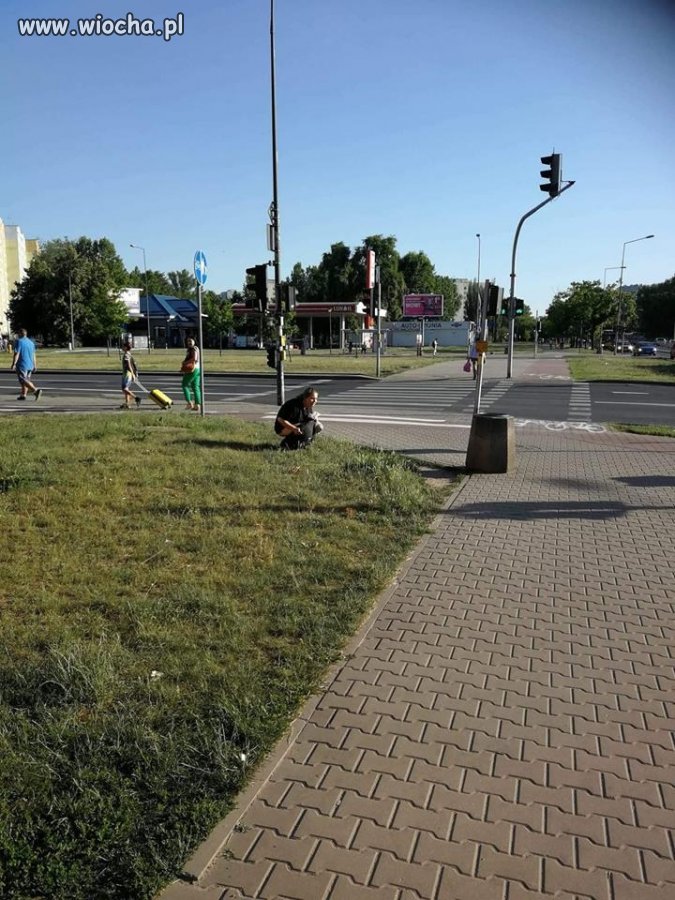 Stawianie klocka lvl master plener