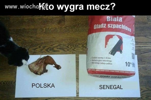 Wiadomo że Polska 