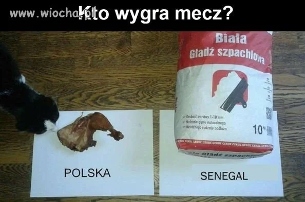 Wiadomo że Polska 