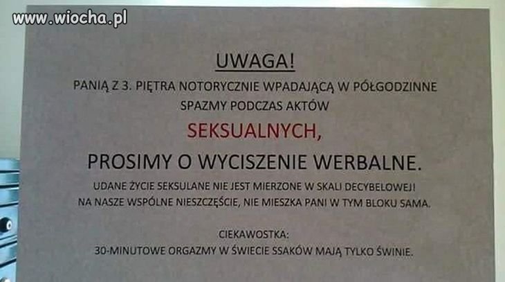 Wyciszenie werbalne
