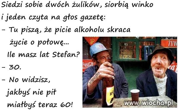 Dwa żuliki