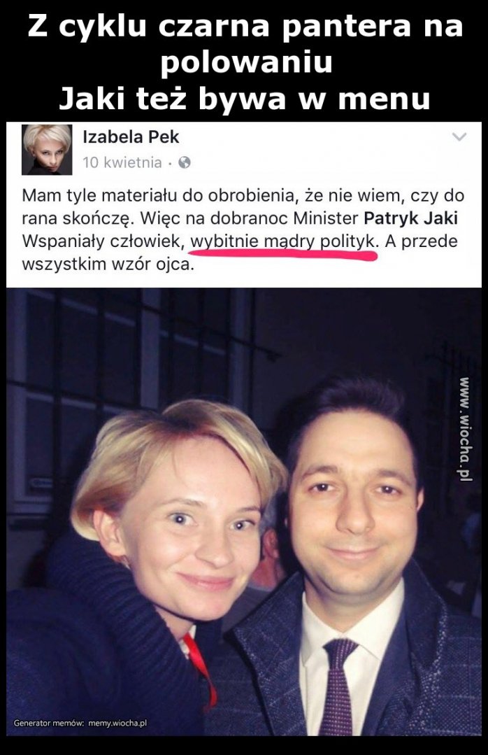 Z cyklu czarna pantera na polowaniu