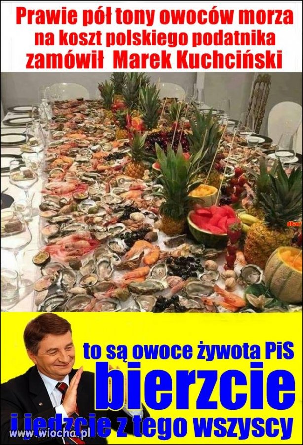 Ośmiorniczki itp