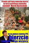 Ośmiorniczki itp