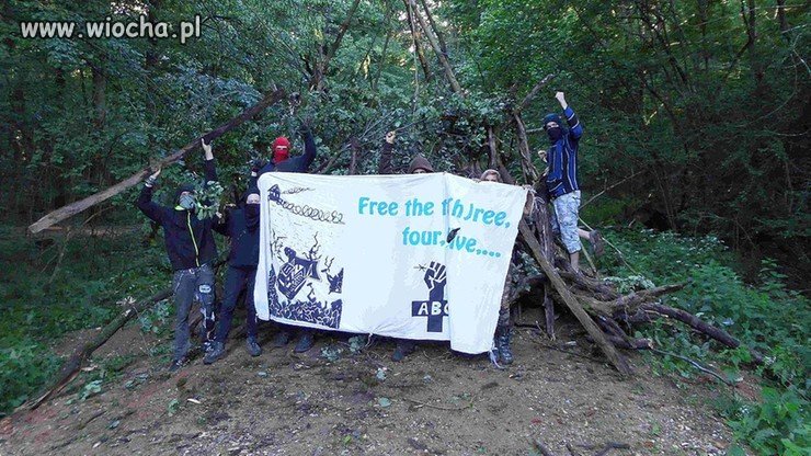 Prastary las Hambach w Niemczech może zostać wycięty.