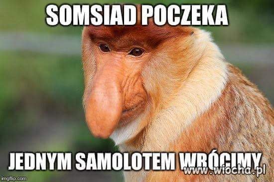 Tak propo Mundialu