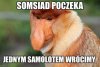 Tak propo Mundialu