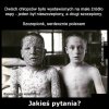 Jakieś pytania?