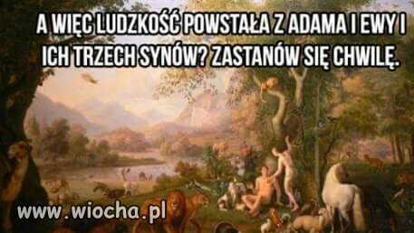 No właśnie.