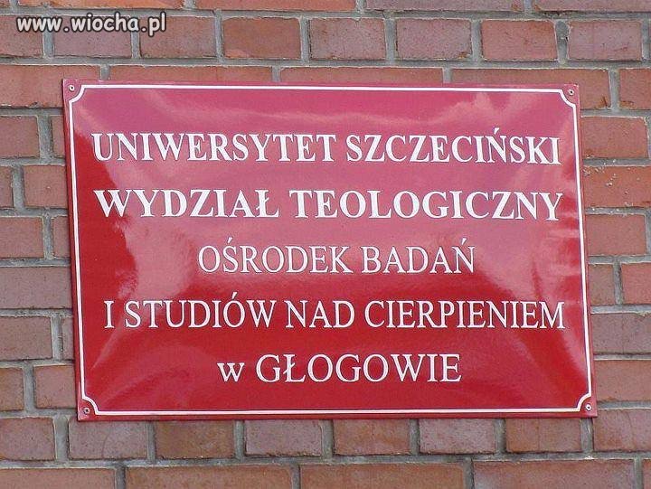 Coś dla sado-macho