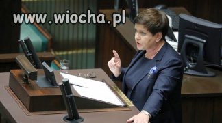 PO chyba jest chore,że myśli o dymisji tej pani