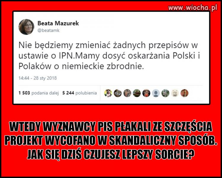 PiS w całej okazałości