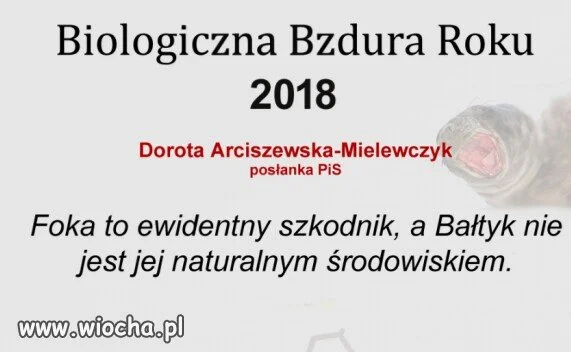Kolejna ,,ekspertka".