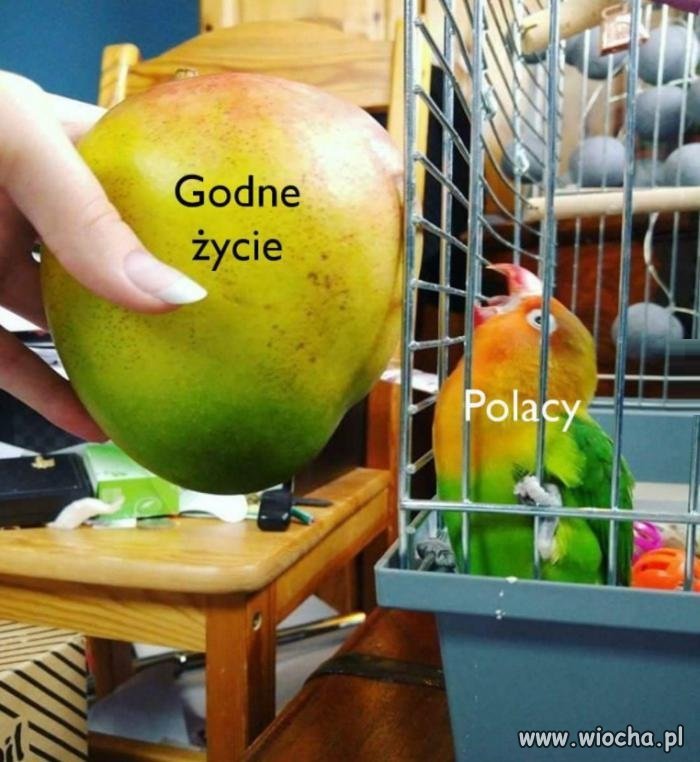 Prawda życiowa