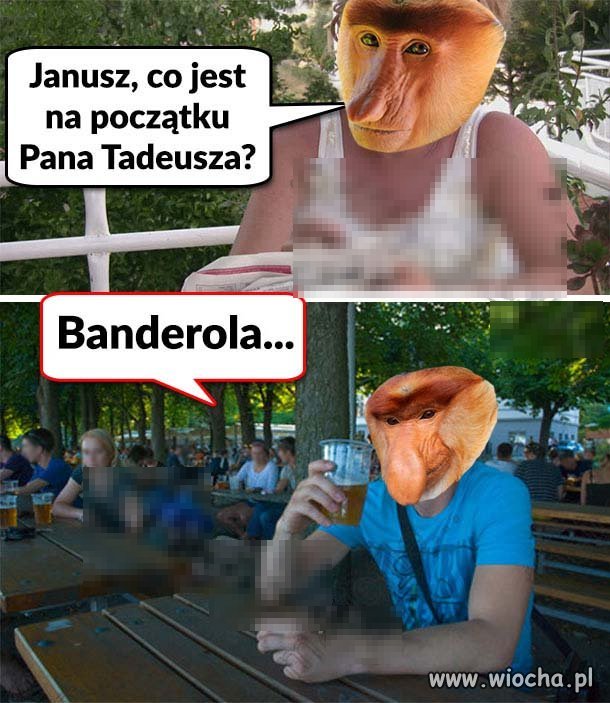 Pytanie do Janusza