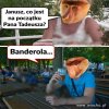 Pytanie do Janusza