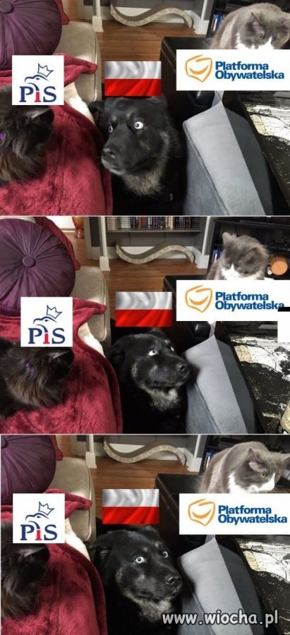 Tak to w skrócie