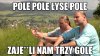 Pole pole