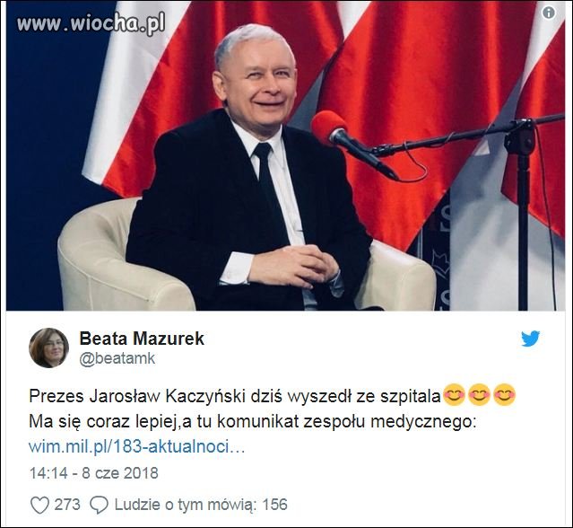 Delfiny zawiedzione