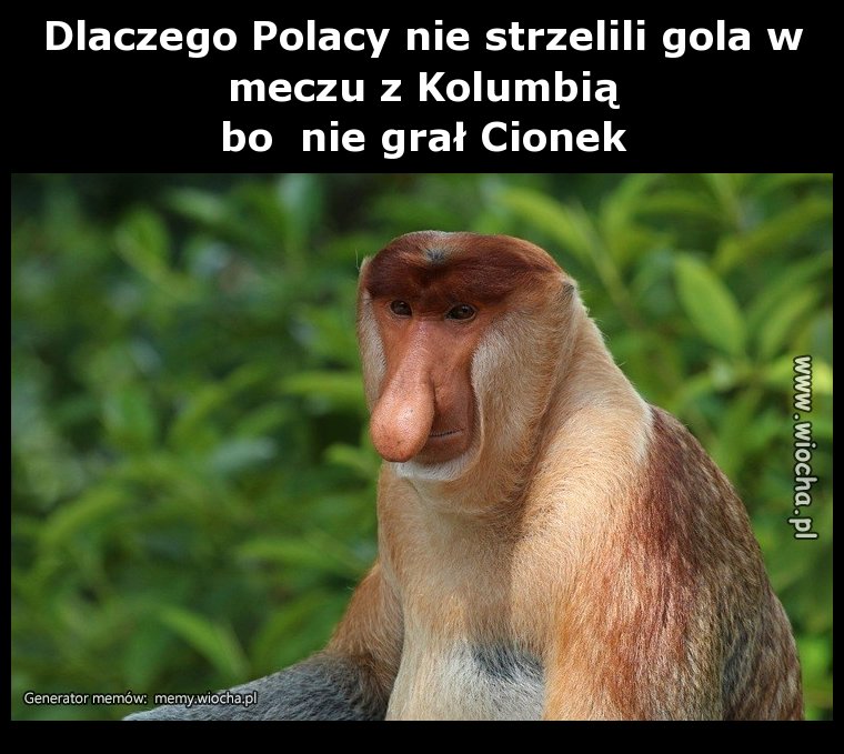Dlaczego Polacy nie strzelili gola 