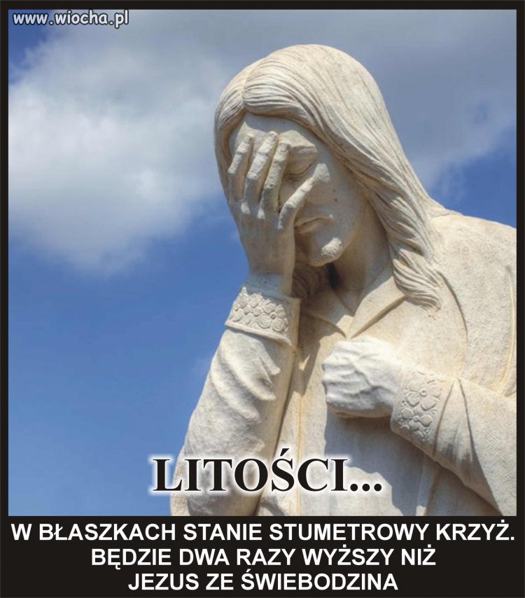 Nie wiem co te oszołomy biorą ale mają 