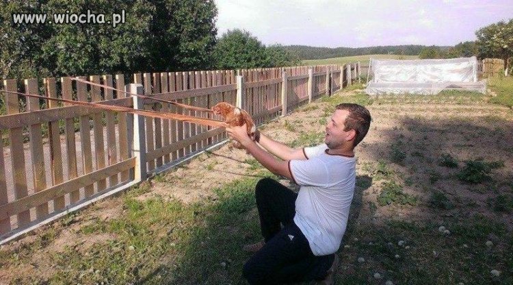 Angry Birds level Rosja