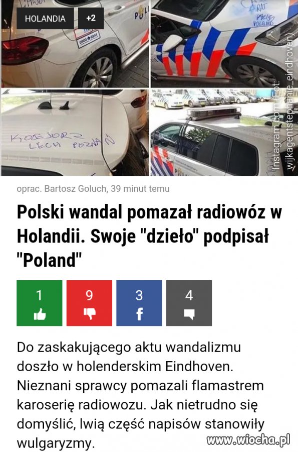 Co trzeba mieć w pustym łbie