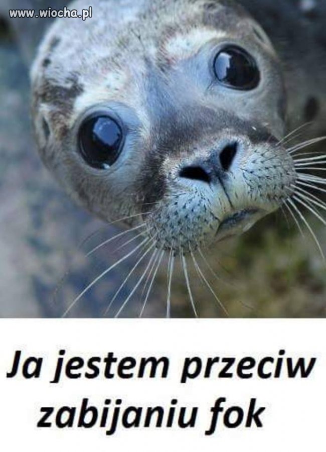 Pokażmy, że nie tylko piłka nożna jest teraz ważna!