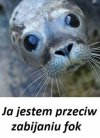 Pokażmy, że nie tylko piłka nożna jest teraz ważna!