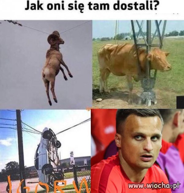 No jak?