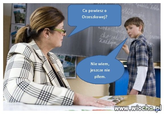 Lekcja polskiego