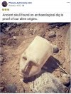 A jednak pochodzimy od 