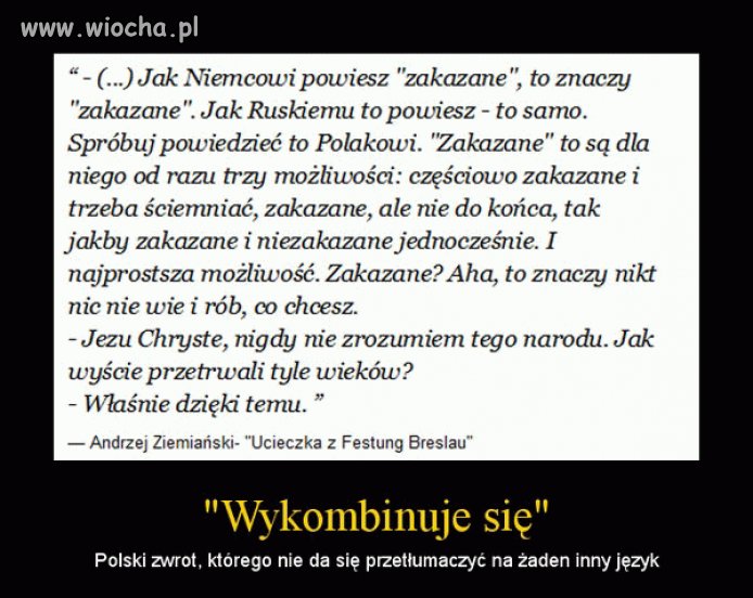 Polacy nie gęsi i swój język mają