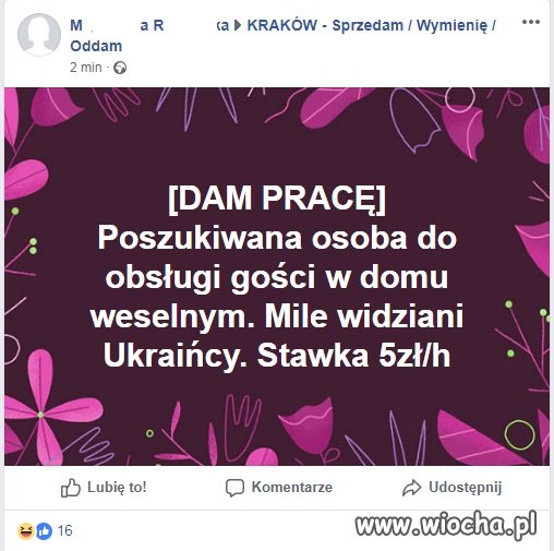 Dam pracę