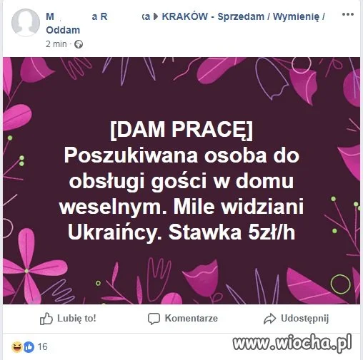 Dam pracę