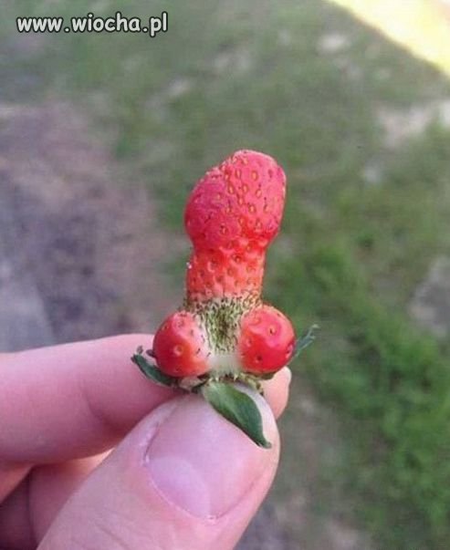 Lubisz truskawki?