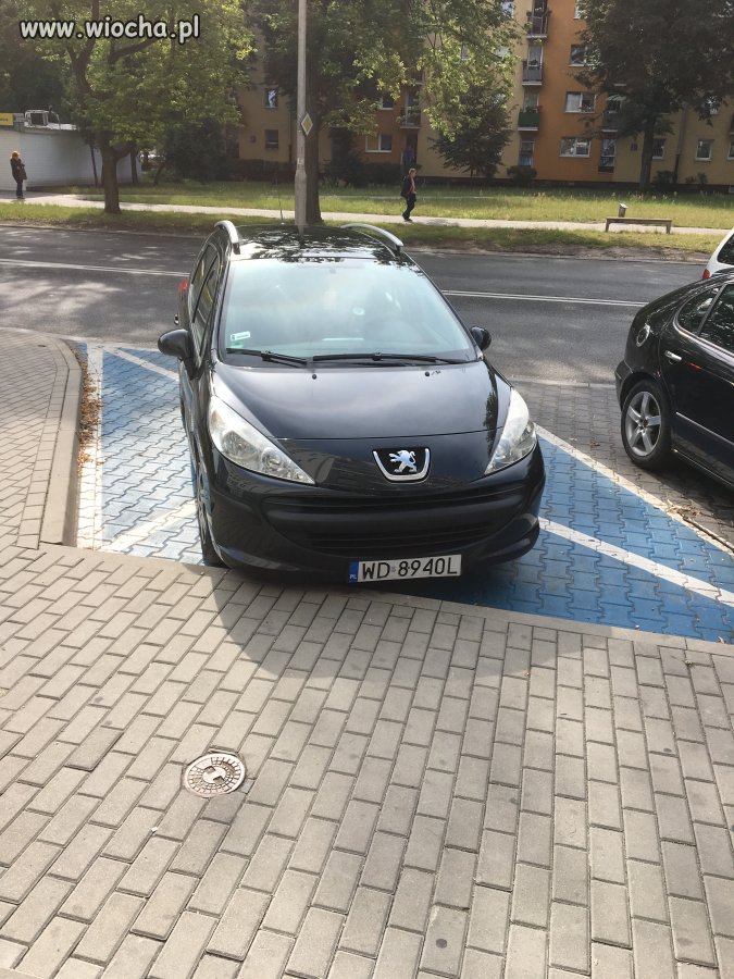 WIOCHA PO WARSZAWSKU