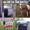 Komu PISowce zapłacili